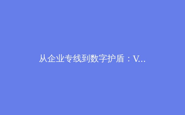 从企业专线到数字护盾：VPN技术的演进与未来安全生态重构