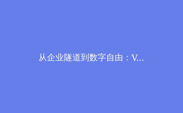 从企业隧道到数字自由：VPN技术的演进与未来展望 - 2