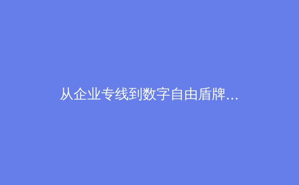 从企业专线到数字自由盾牌：VPN技术的演进与未来 - 2