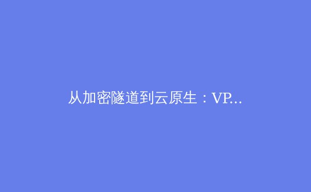 从加密隧道到云原生：VPN技术的演进与未来网络边界重塑 - 2