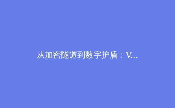 从加密隧道到数字护盾：VPN技术的演进与未来展望 - 3