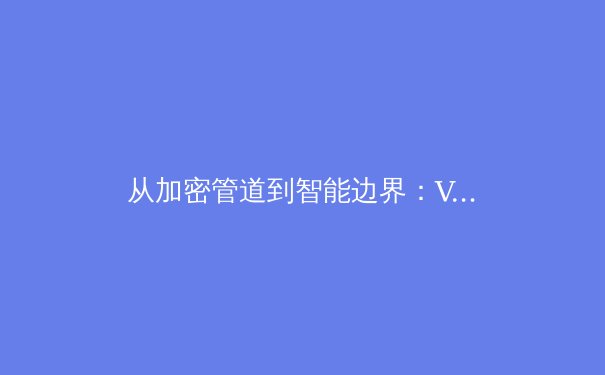 从加密管道到智能边界：VPN技术的演进与未来安全格局 - 4