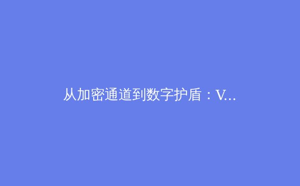 从加密通道到数字护盾：VPN技术的演进与未来展望 - 4