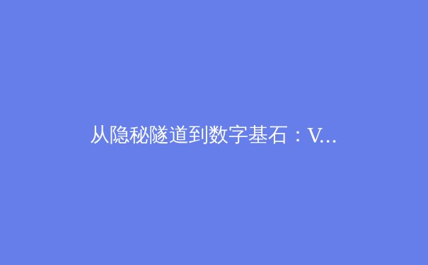 从隐秘隧道到数字基石：VPN技术的演进与未来格局 - 3